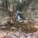De Madeira Privativo E Intimo Na Natureza En Ponte De Lima Holiday home Catezim