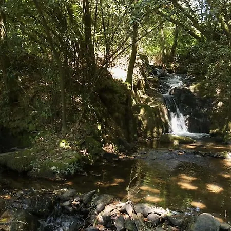 De Madeira Privativo E Intimo Na Natureza En Ponte De Lima *